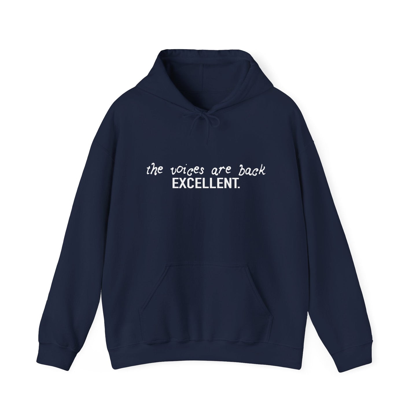 THE VOICES ARE BACK, EXCELLENT - Premium Unisex Funny Sarcastic Black Hoodie Sweatshirt