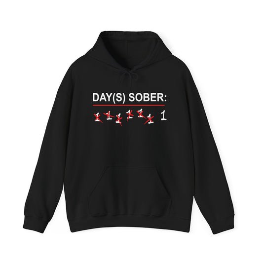 DAY(S) SOBER - Premium Unisex Funny Sarcastic Black Hoodie Sweatshirt