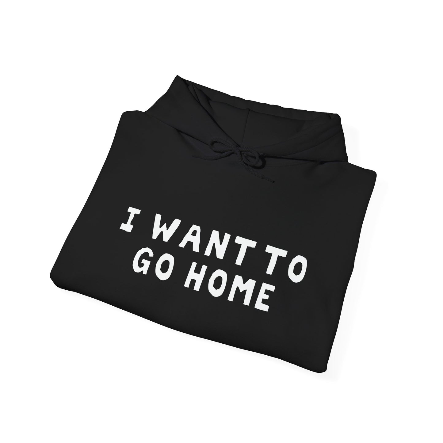 I WANT TO GO HOME - Premium Unisex Funny Sarcastic Black Hoodie Sweatshirt