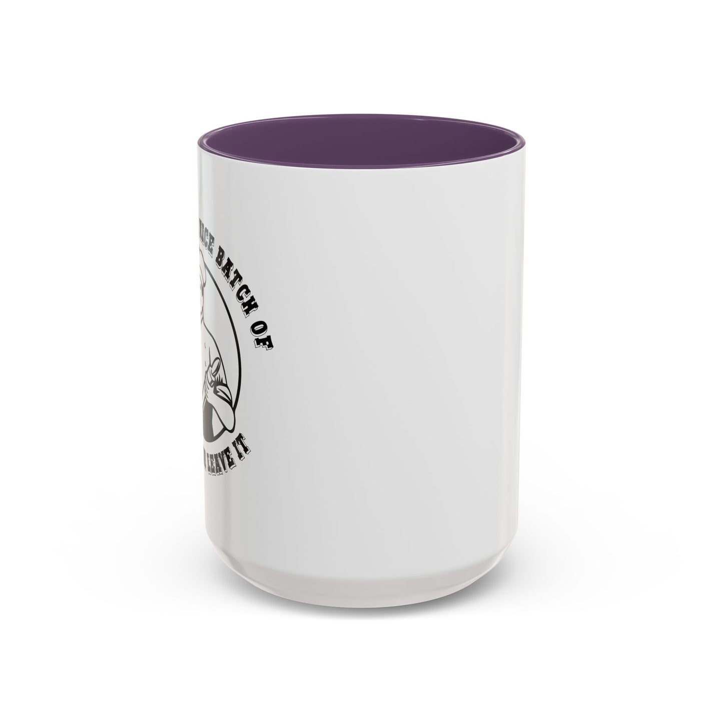 TAKE IT OR LEAVE IT Accent BiColor Funny Sarcastic Mug