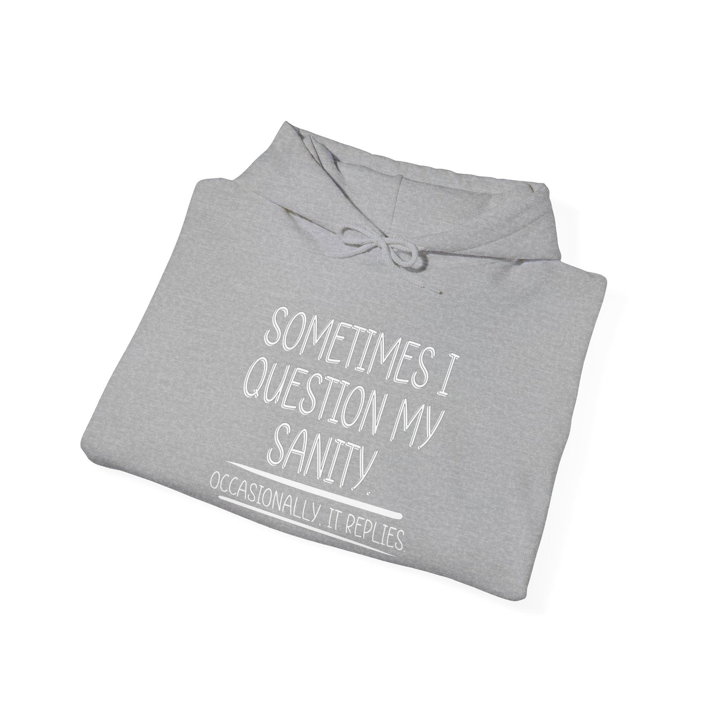 SOMETIMES I QUESTION MY SANITY - Premium Unisex Funny Sarcastic Black Hoodie Sweatshirt