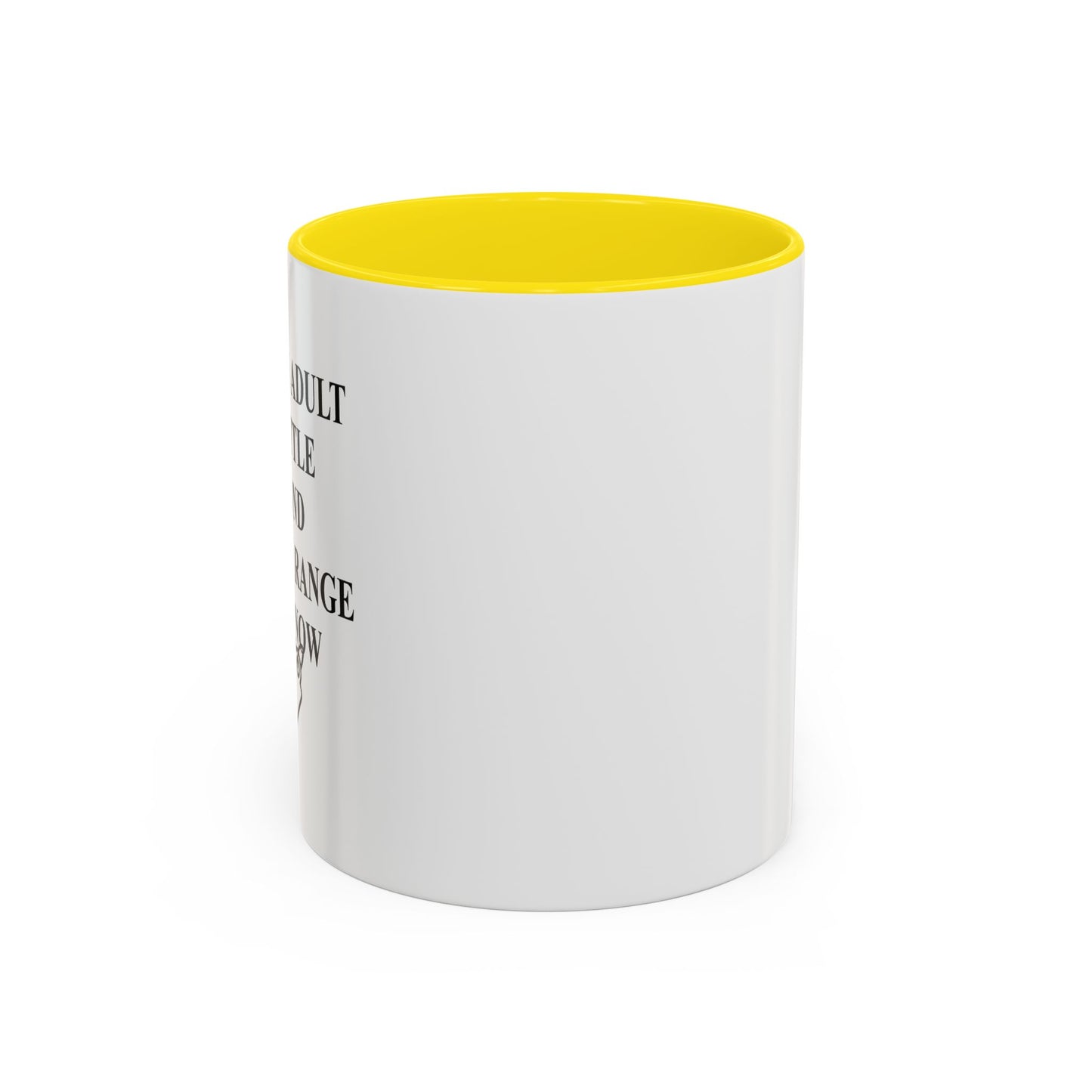 BEYONG MY PRICE RANGE Accent BiColor Funny Sarcastic Mug