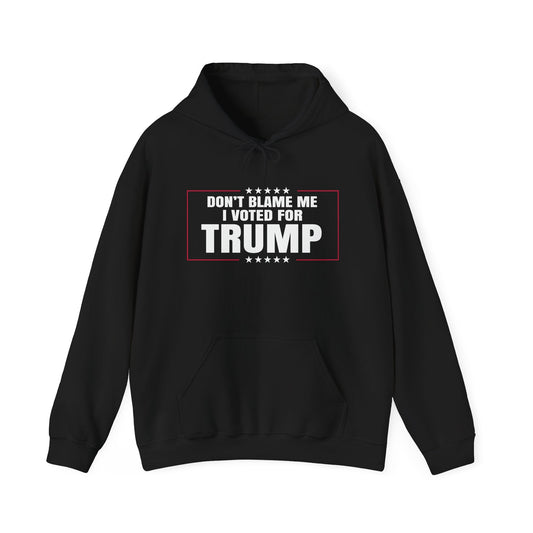 I VOTED FOR TRUMP - Premium Unisex Funny Sarcastic Black Hoodie Sweatshirt