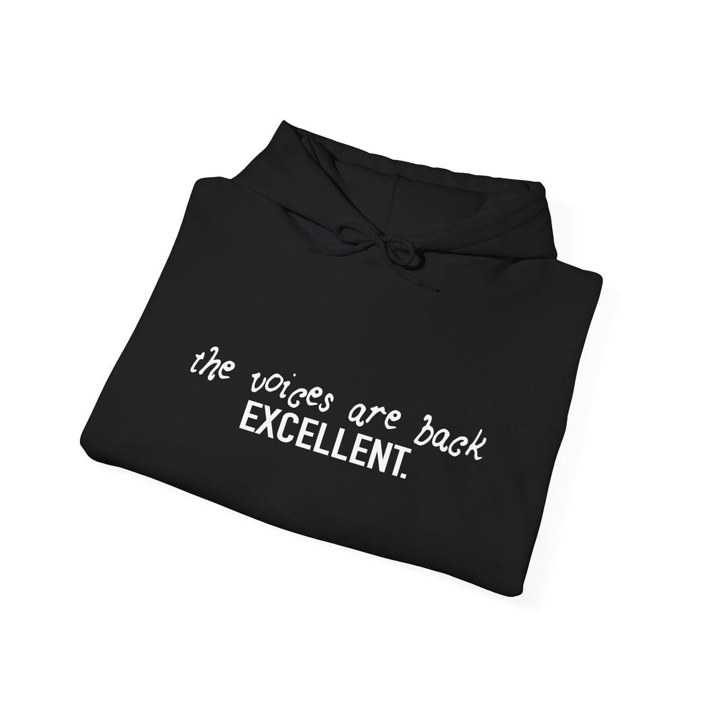 THE VOICES ARE BACK, EXCELLENT - Premium Unisex Funny Sarcastic Black Hoodie Sweatshirt