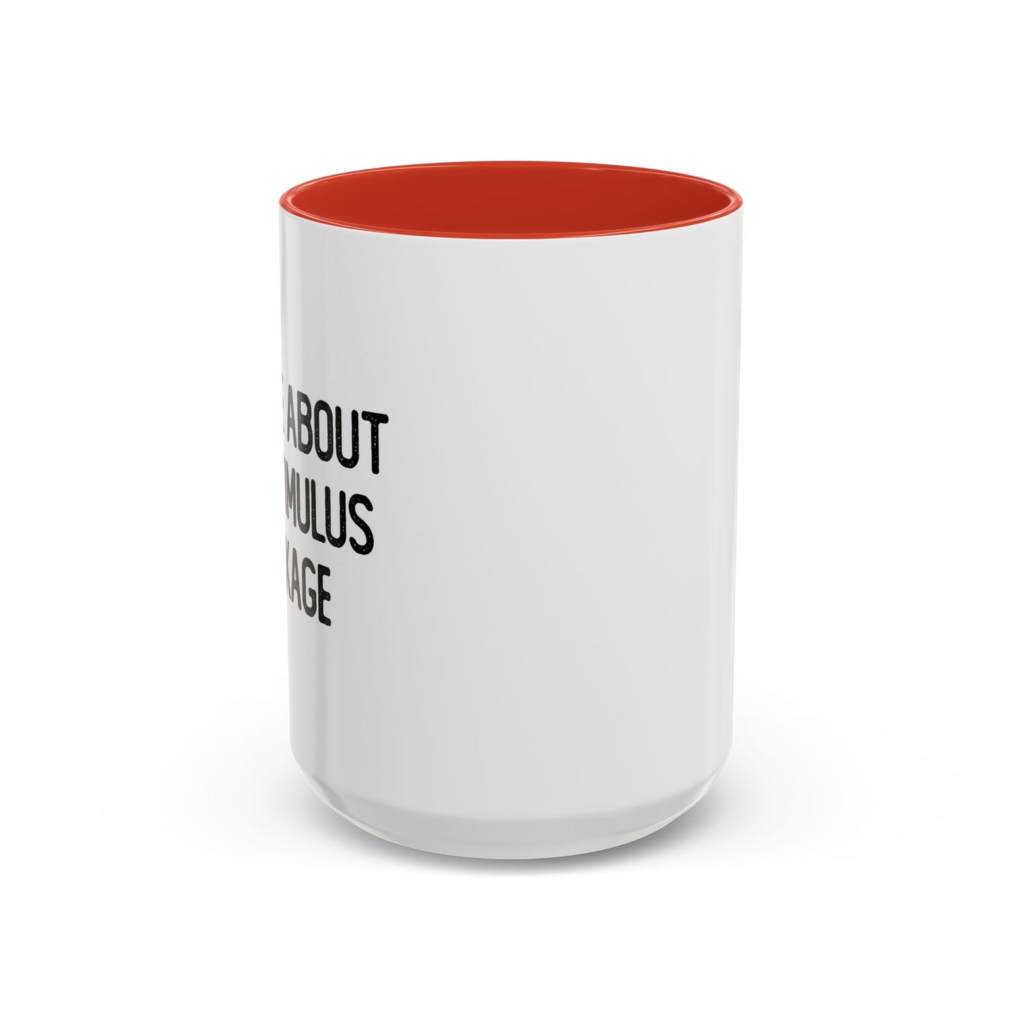 MY STIMULUS PACKAGE Accent BiColor Funny Sarcastic Mug