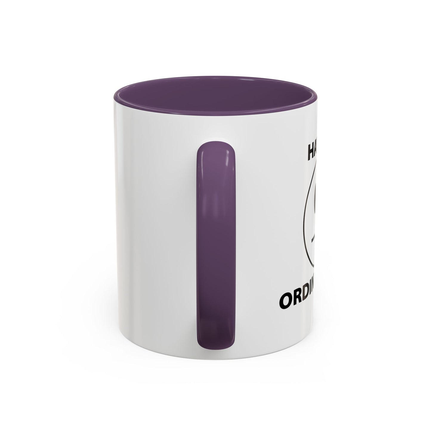 HAVE AN ORDINARY DAY! Accent BiColor Funny Sarcastic Mug