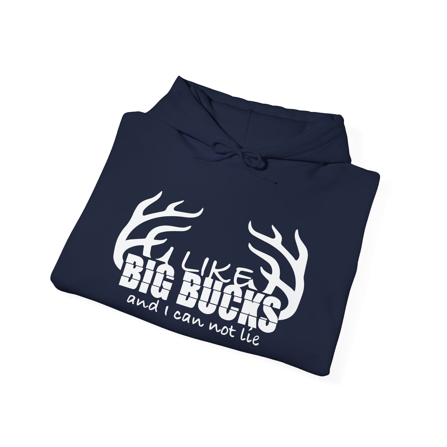 I LIKE BIG BUCKS AND I CAN NOT LIE - Premium Unisex Funny Sarcastic Black Hoodie Sweatshirt