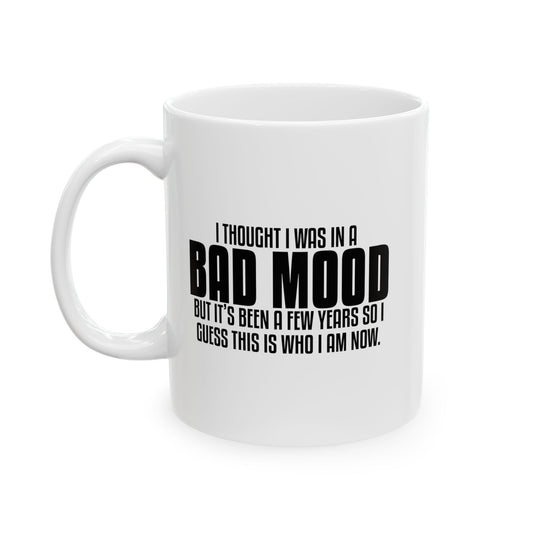 THIS IS WHO I AM NOW FUNNY SARCASTIC MUG