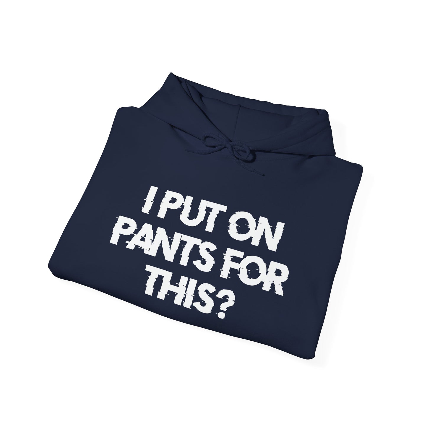 I PUT ON PANTS FOR THIS? - Premium Unisex Funny Sarcastic Black Hoodie Sweatshirt