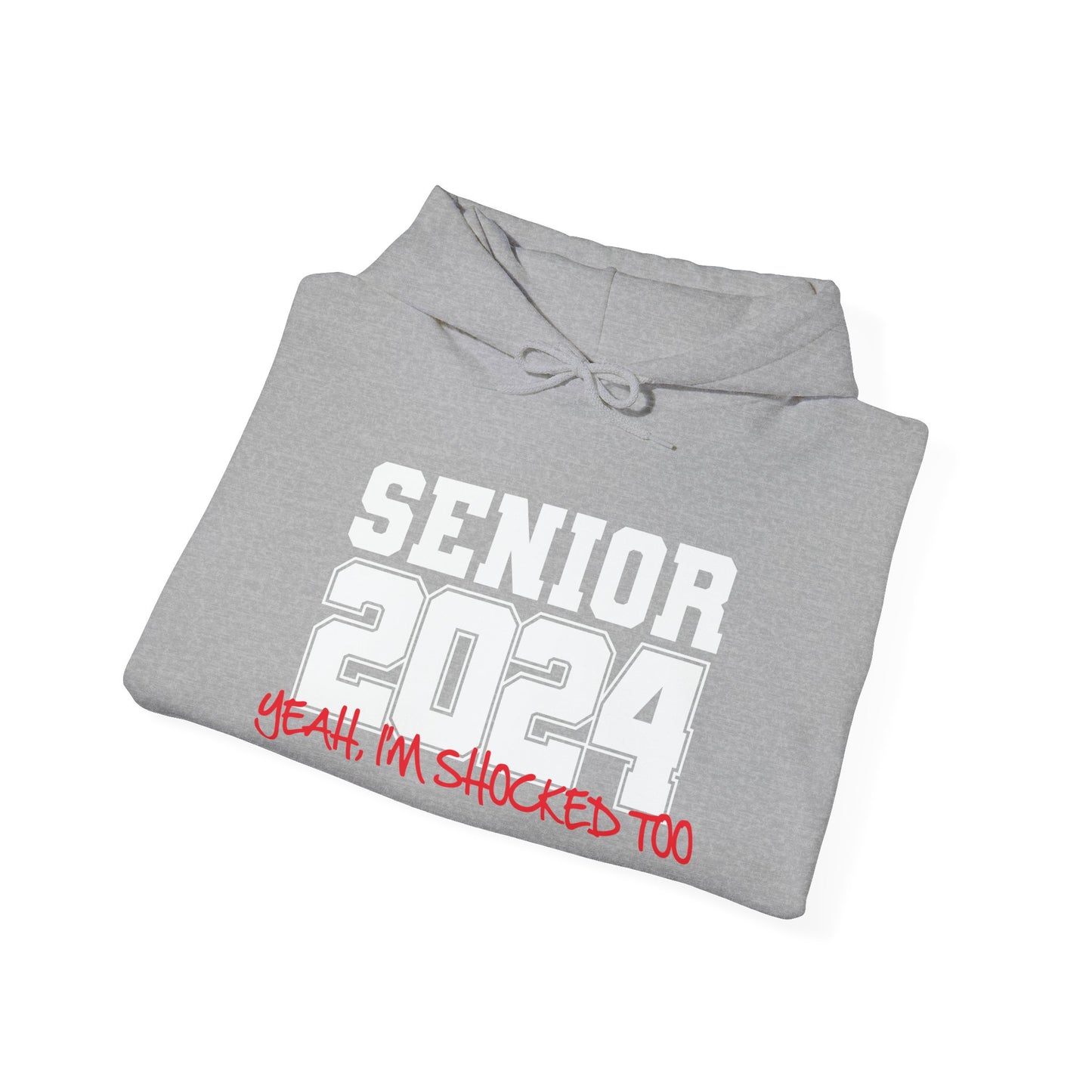 SENIOR 2024 - Premium Unisex Funny Sarcastic Black Hoodie Sweatshirt