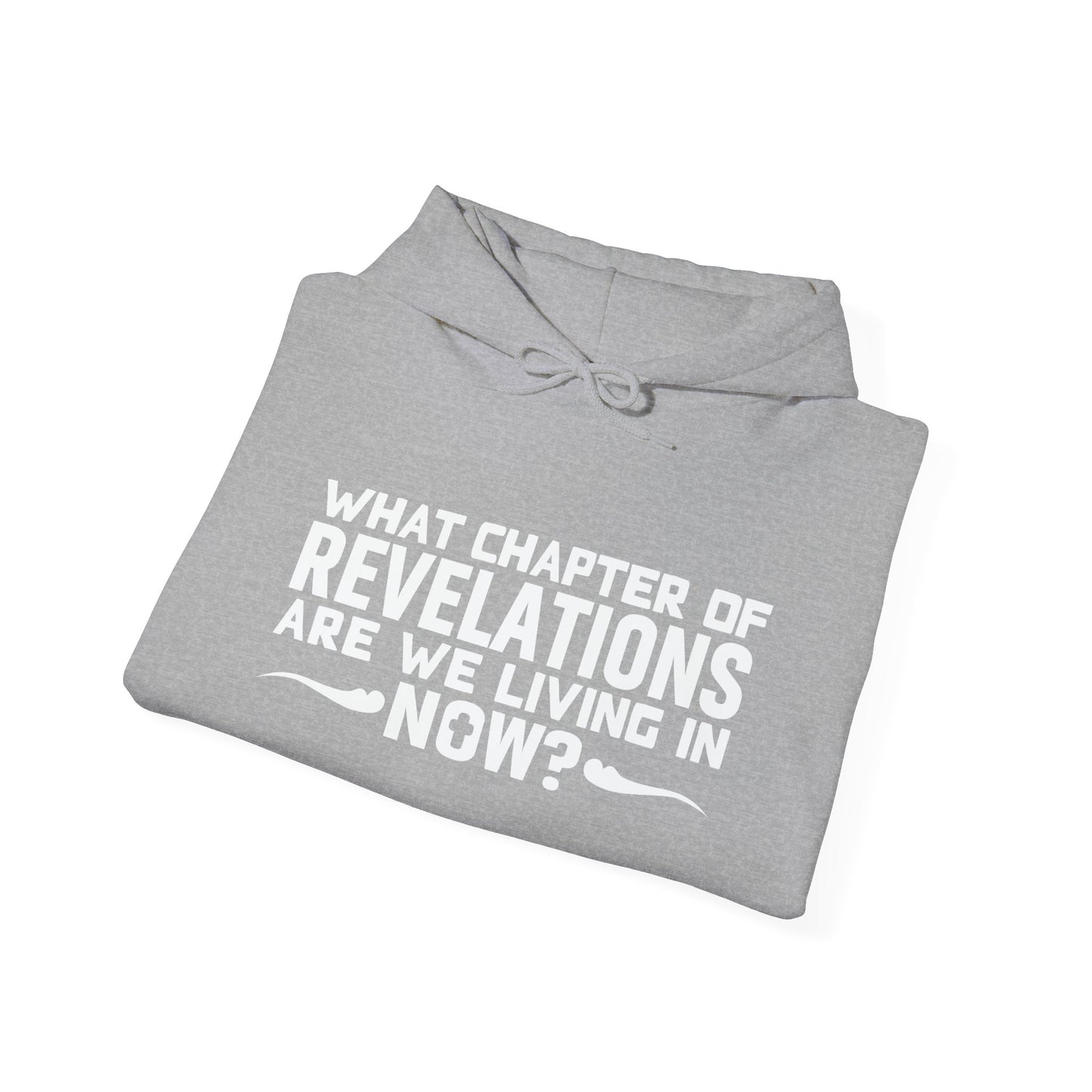 WHAT CHAPTER OF REVELATIONS ARE WE LIVING IN NOW? - Premium Unisex Funny Sarcastic Black Hoodie Sweatshirt