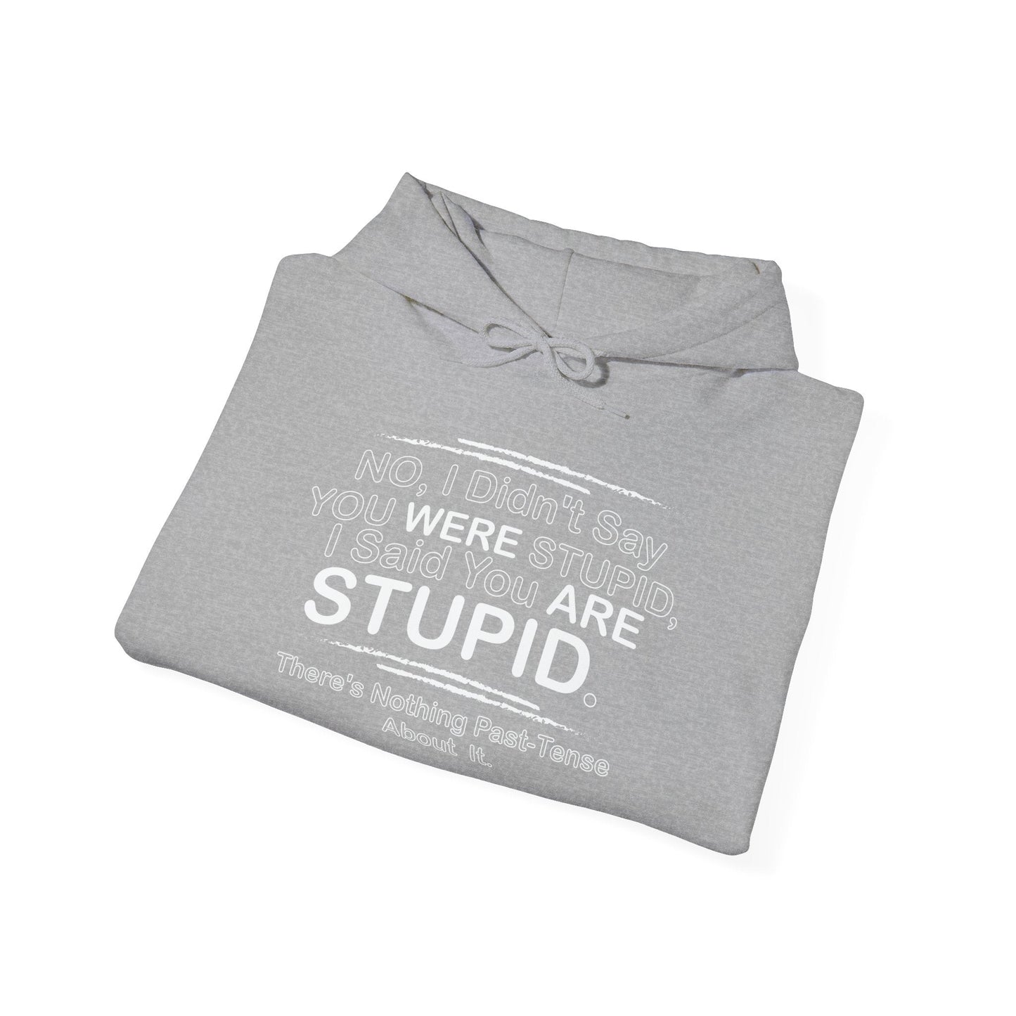 I DIDN'T SAY YOU WERE STUPID - Premium Unisex Funny Sarcastic Black Hoodie Sweatshirt