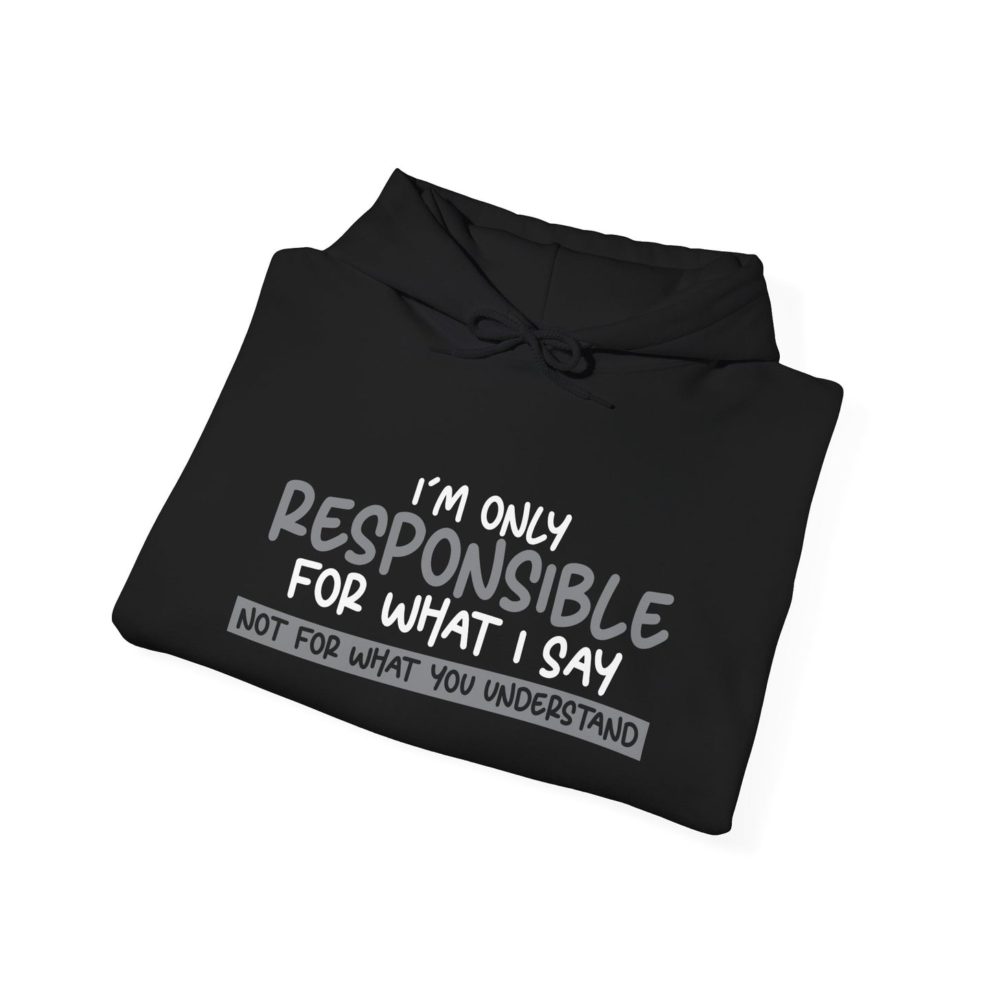 I'M ONLY RESPONSIBLE FOR WHAT I SAY - Premium Unisex Funny Sarcastic Black Hoodie Sweatshirt