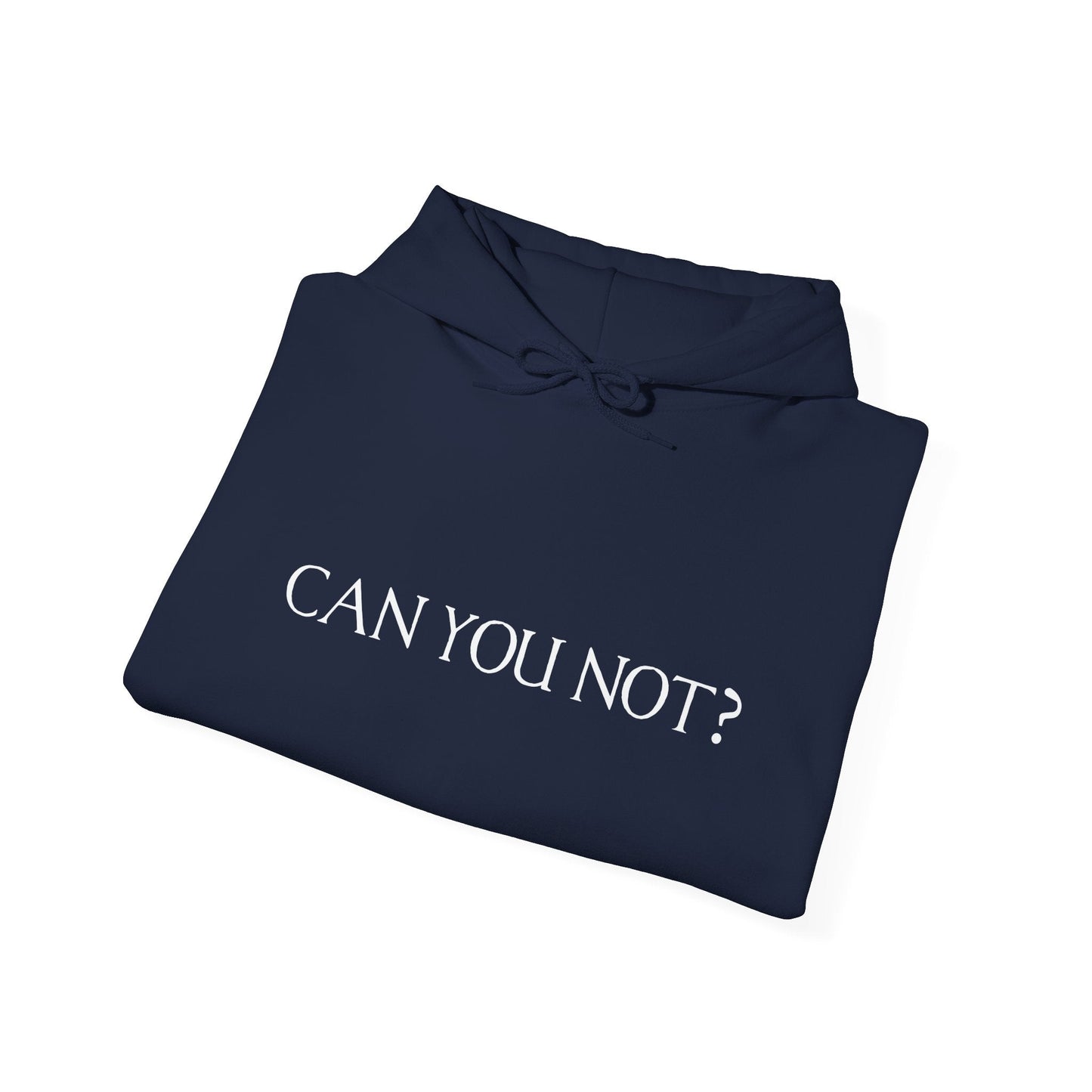 CAN YOU NOT? - Premium Unisex Funny Sarcastic Black Hoodie Sweatshirt