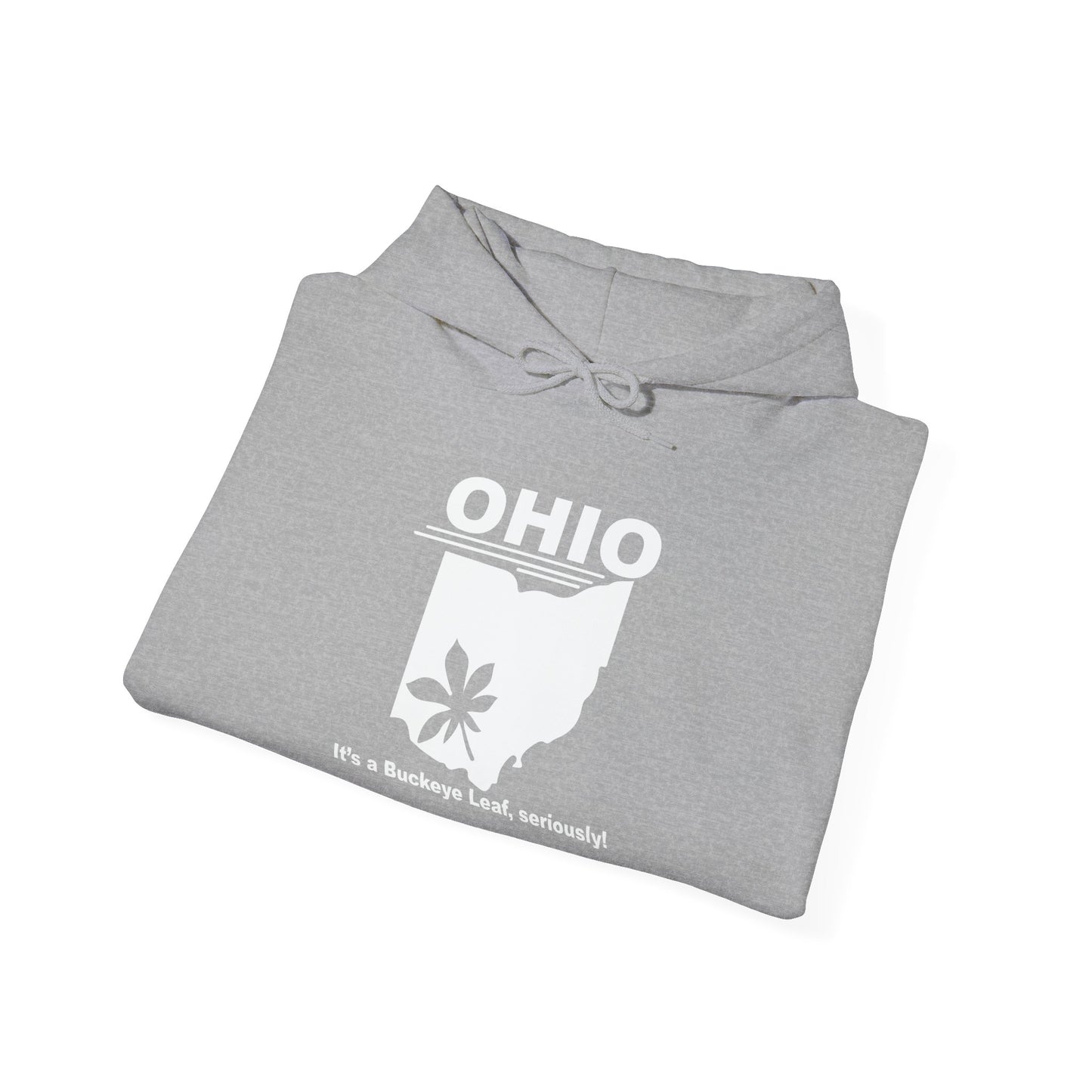 OHIO, IT'S A BUCKEYE LEAF - Premium Unisex Funny Sarcastic Black Hoodie Sweatshirt