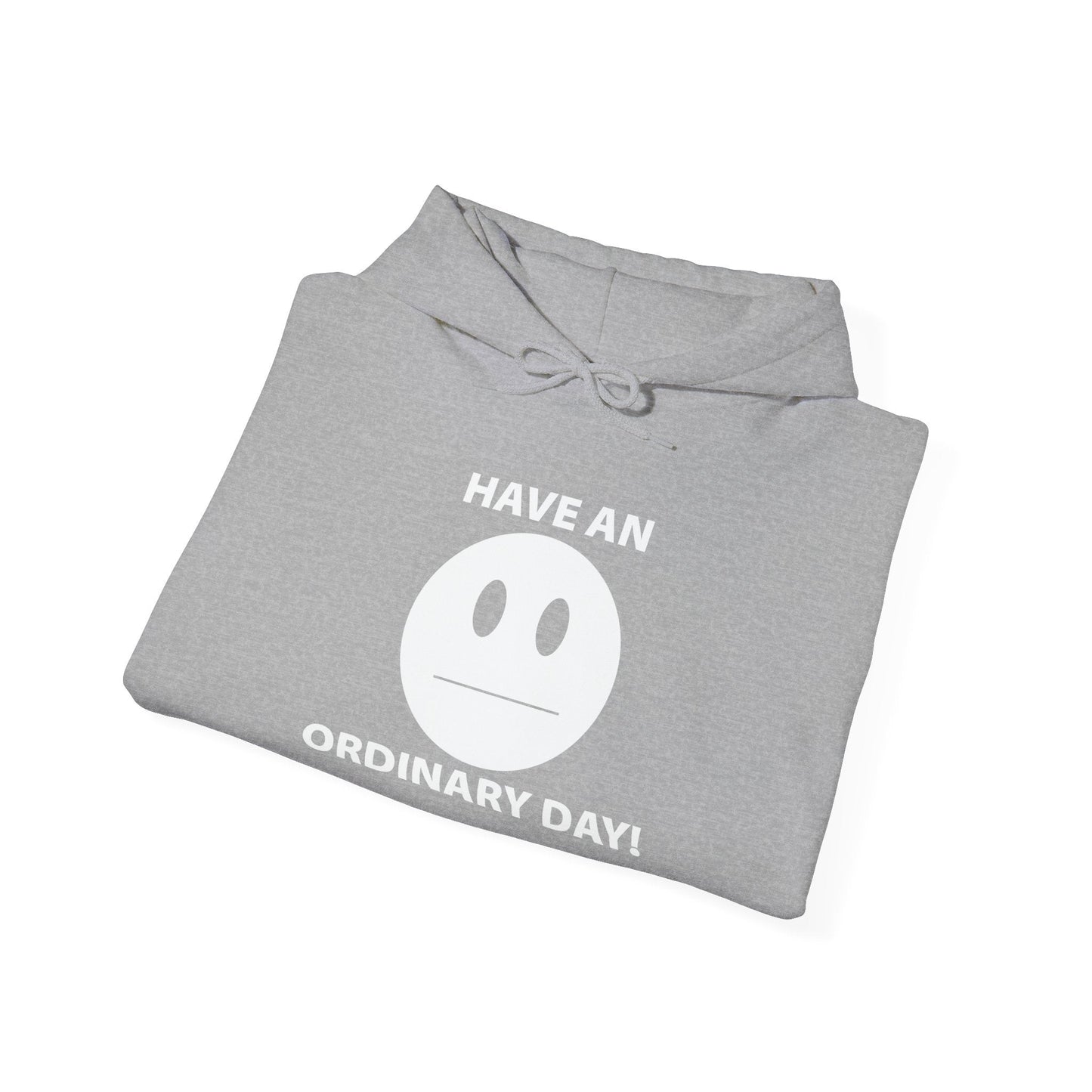 HAVE AN ORDINARY DAY! - Premium Unisex Funny Sarcastic Black Hoodie Sweatshirt