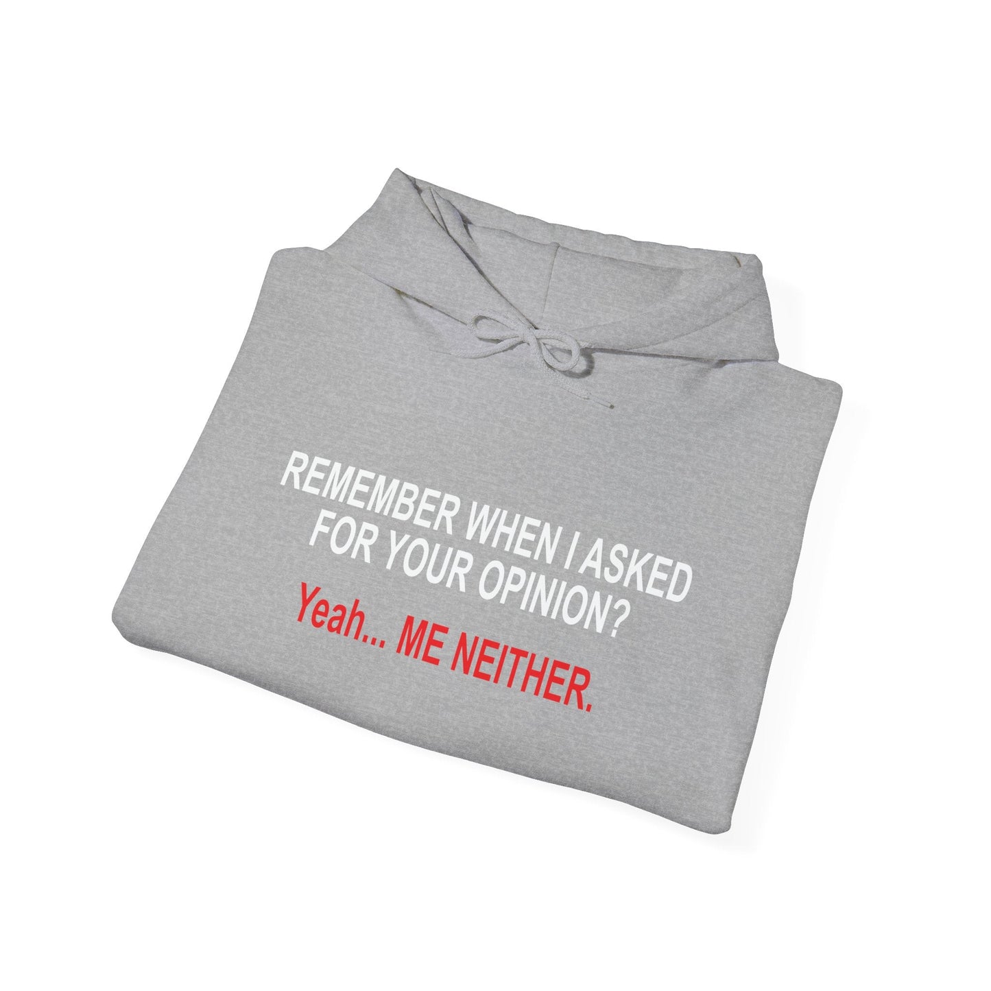 REMEMBER WHEN I ASKED FOR YOUR OPINION - Premium Unisex Funny Sarcastic Black Hoodie Sweatshirt