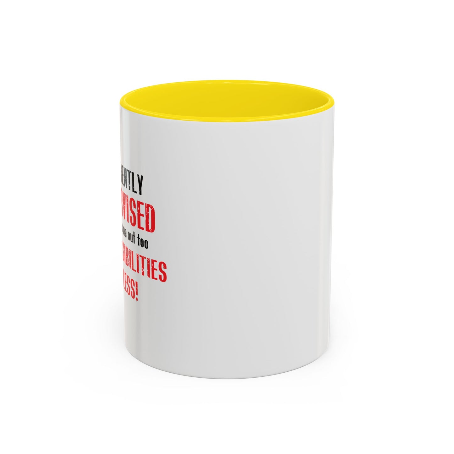 THE POSSIBILITIES ENDLESS Accent BiColor Funny Sarcastic Mug