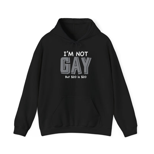 I'M NOT GAY - Premium Unisex Heavy Blend Funny Sarcastic Colored Hoodie Sweatshirt