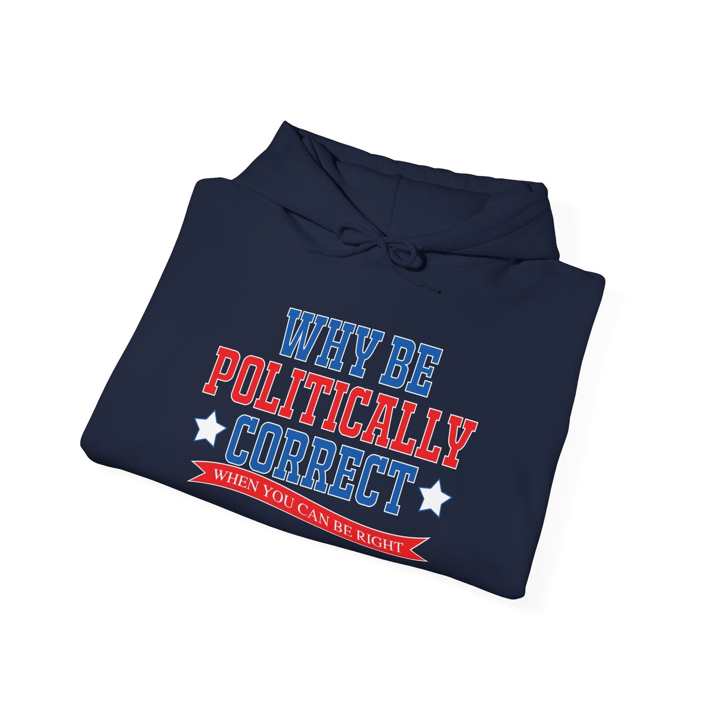 WHY BE POLITICALLY CORRECT - Premium Unisex Funny Sarcastic Black Hoodie Sweatshirt