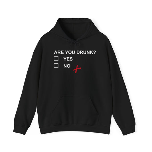 ARE YOU DRUNK - Premium Unisex Funny Sarcastic Black Hoodie Sweatshirt