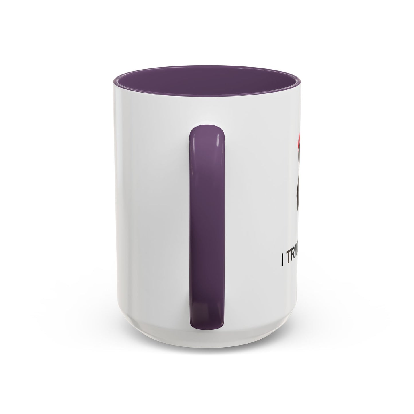 I TRIED IT AT HOME Accent BiColor Funny Sarcastic Mug