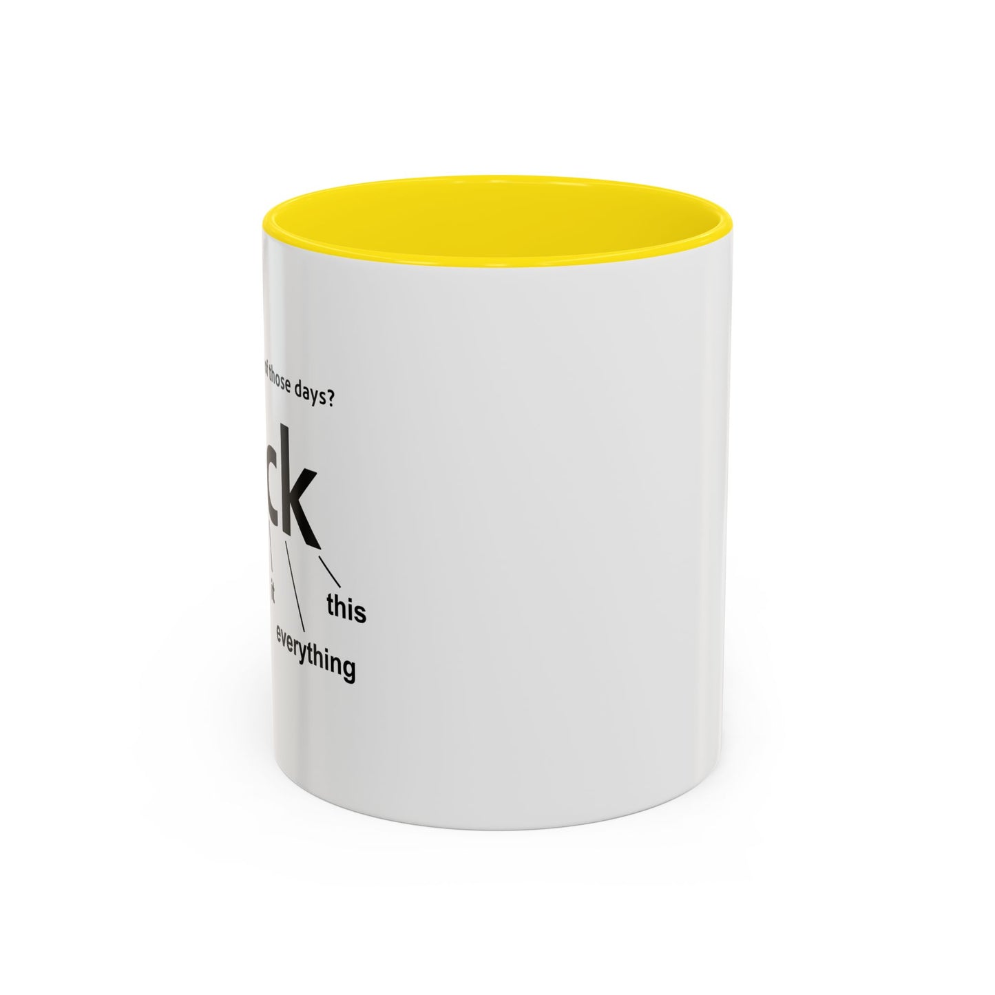 EVER HAVE ONE OF THESE DAYS? Accent BiColor Funny Sarcastic Mug