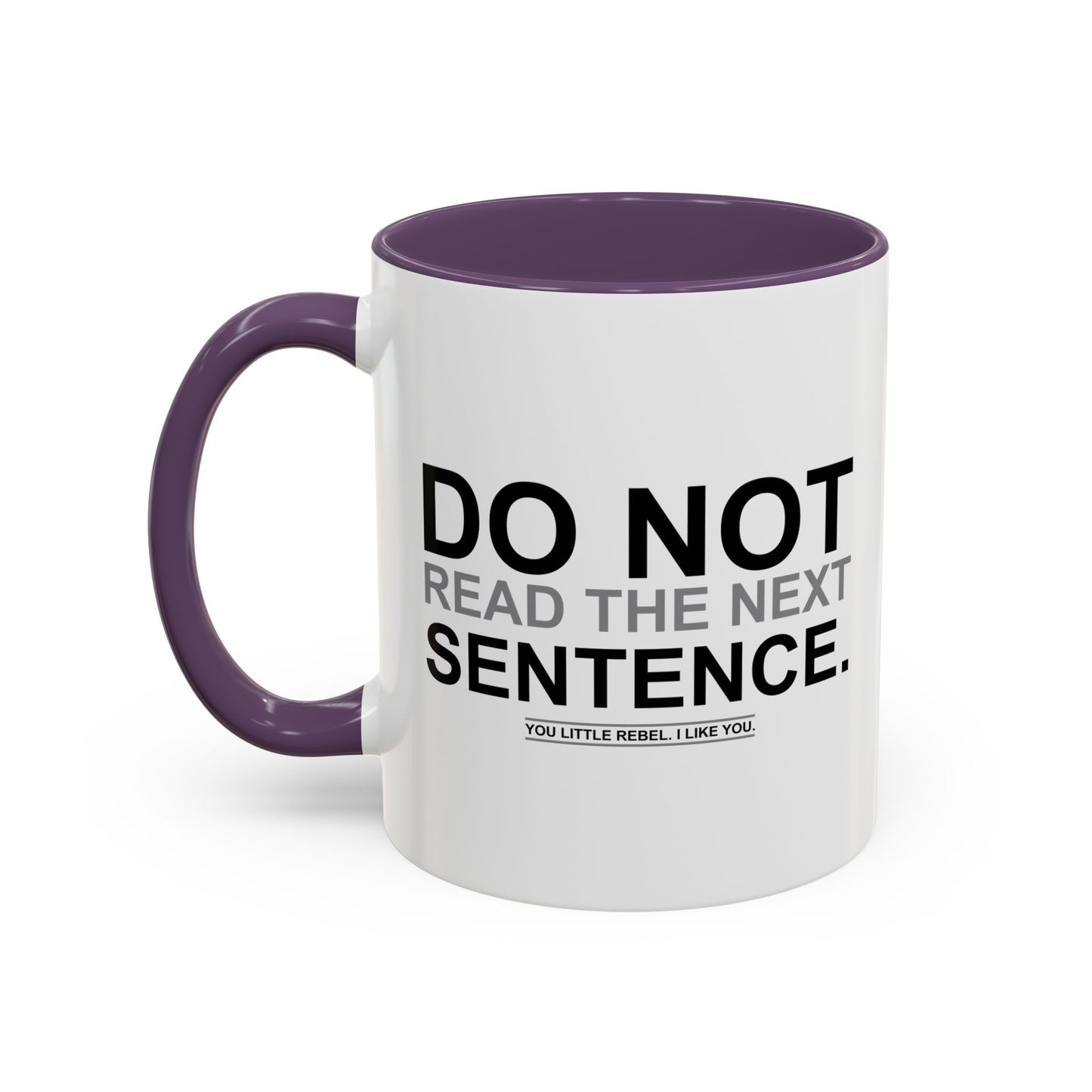 DO NOT READ THE NEXT SENTENCE. Accent BiColor Funny Sarcastic Mug