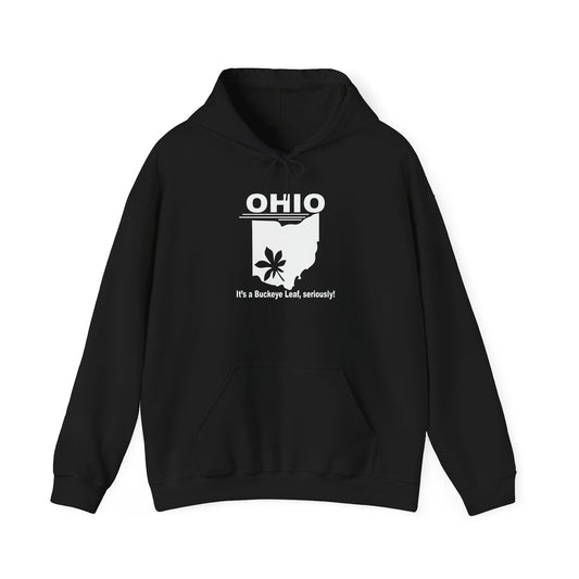 OHIO, IT'S A BUCKEYE LEAF - Premium Unisex Heavy Blend Funny Sarcastic Colored Hoodie Sweatshirt