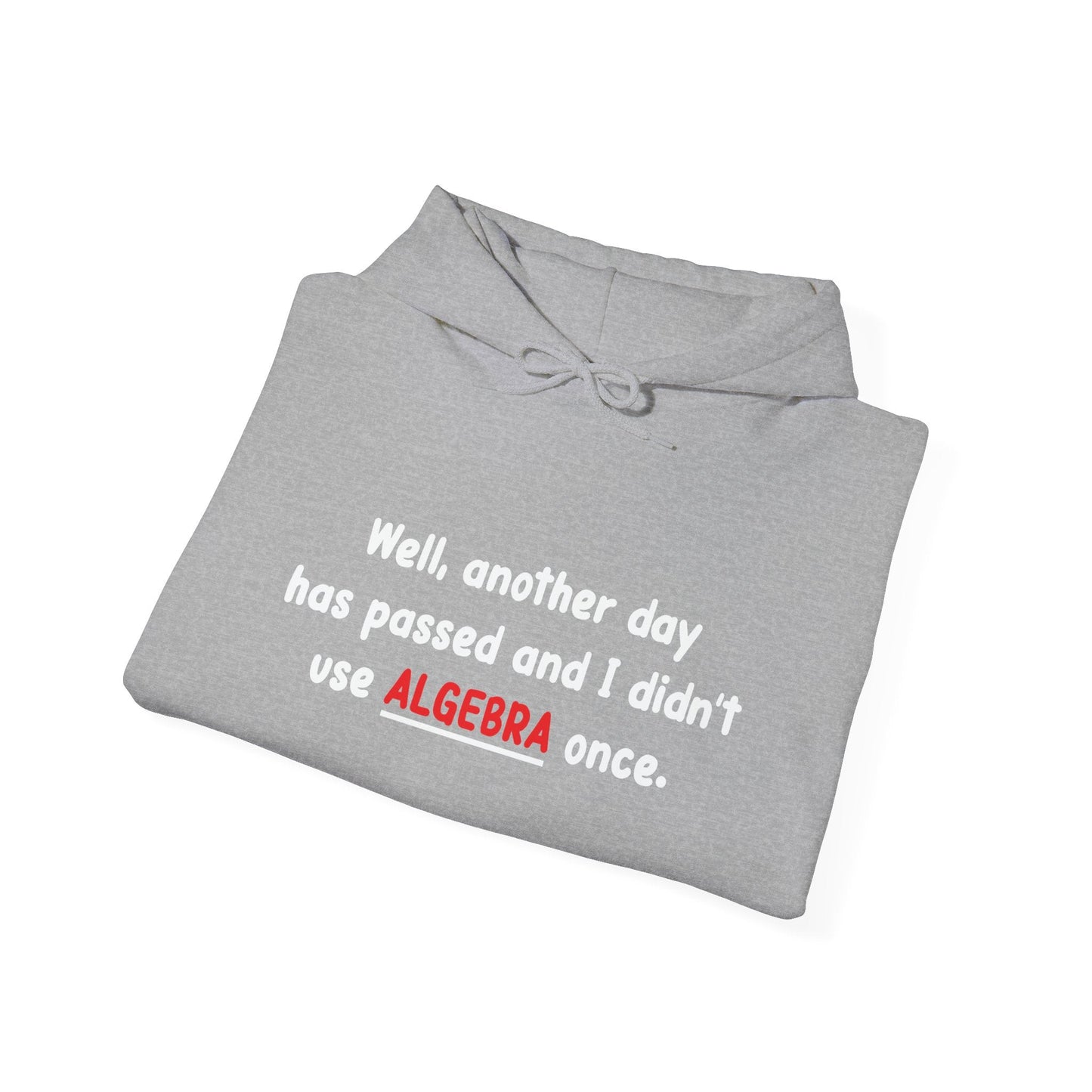 DIDN'T USE ALGEBRA ONCE - Premium Unisex Funny Sarcastic Black Hoodie Sweatshirt