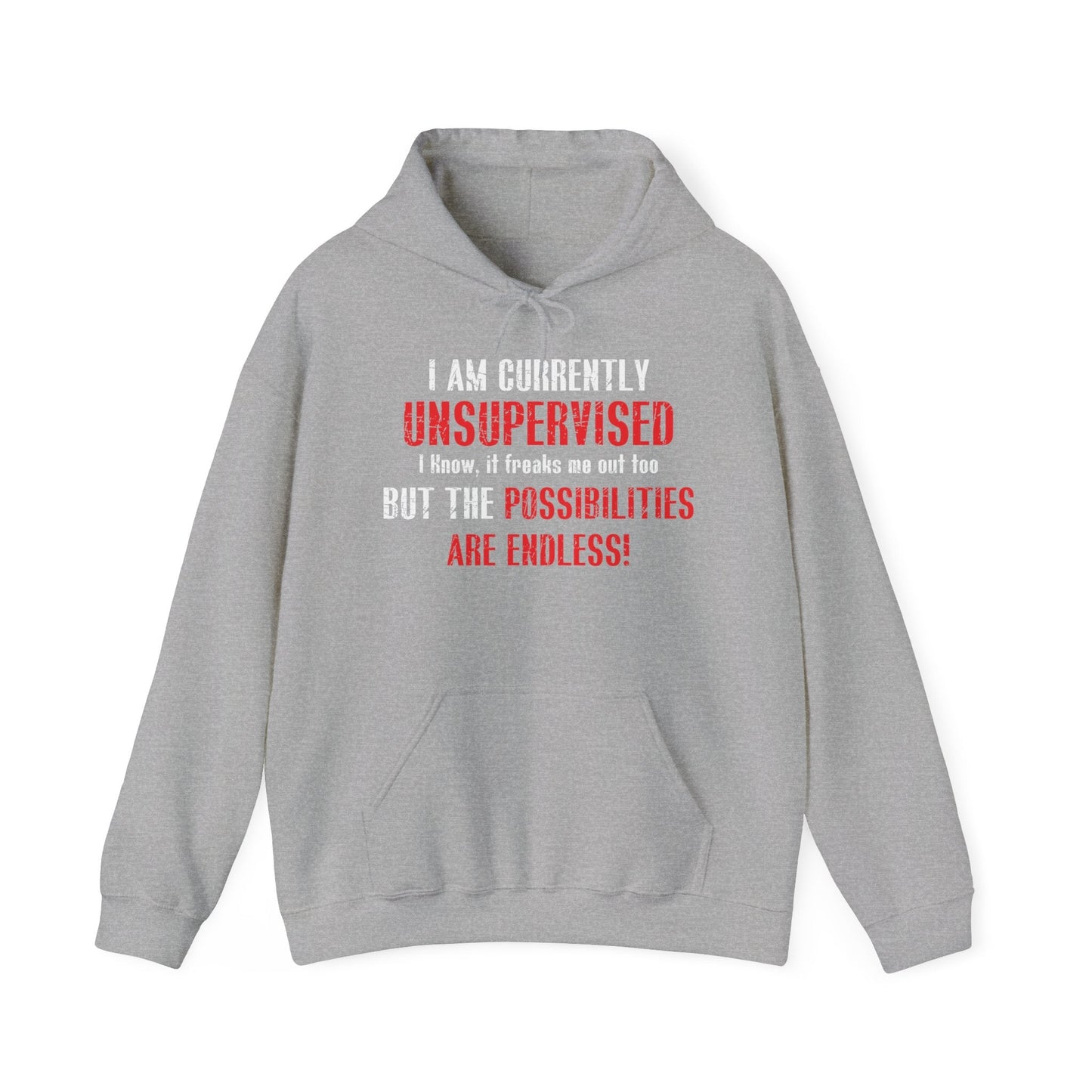 THE POSSIBILITIES ENDLESS - Premium Unisex Funny Sarcastic Black Hoodie Sweatshirt