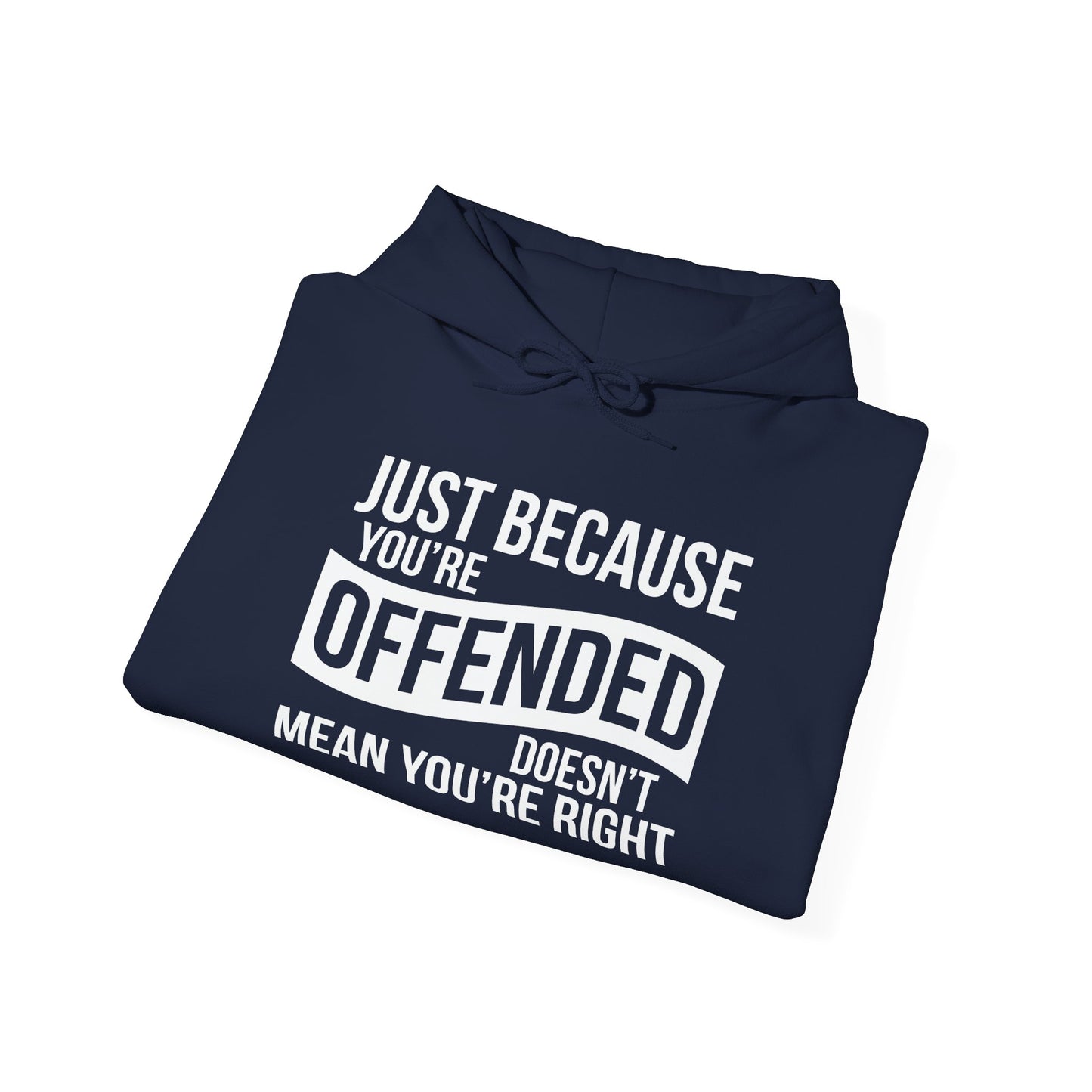 JUST BECAUSE YOU'RE OFFENDED DOESN'T MEAN YOU'RE RIGHT - Premium Unisex Funny Sarcastic Black Hoodie Sweatshirt