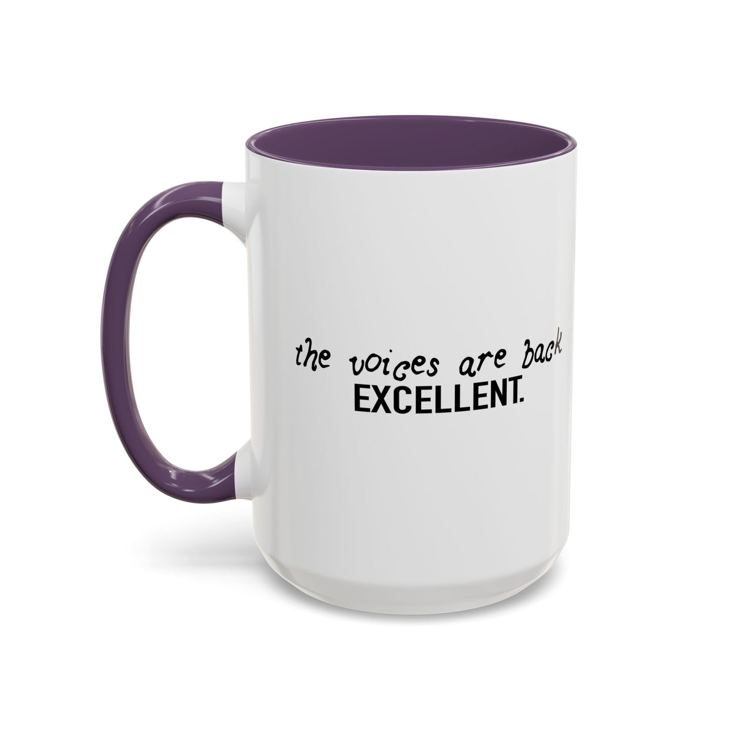 THE VOICES ARE BACK, EXCELLENT Accent BiColor Funny Sarcastic Mug