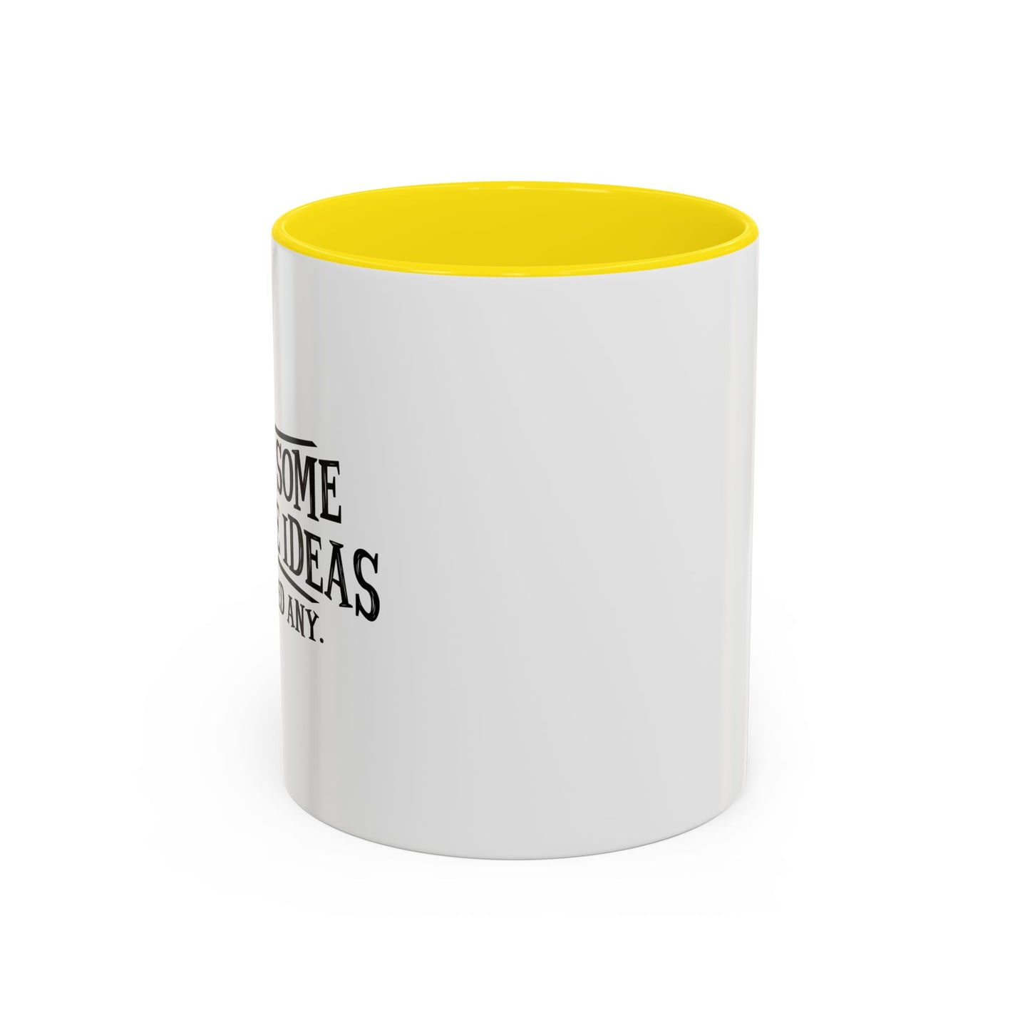 I HAVE SOME TERRIBLE IDEAS Accent BiColor Funny Sarcastic Mug