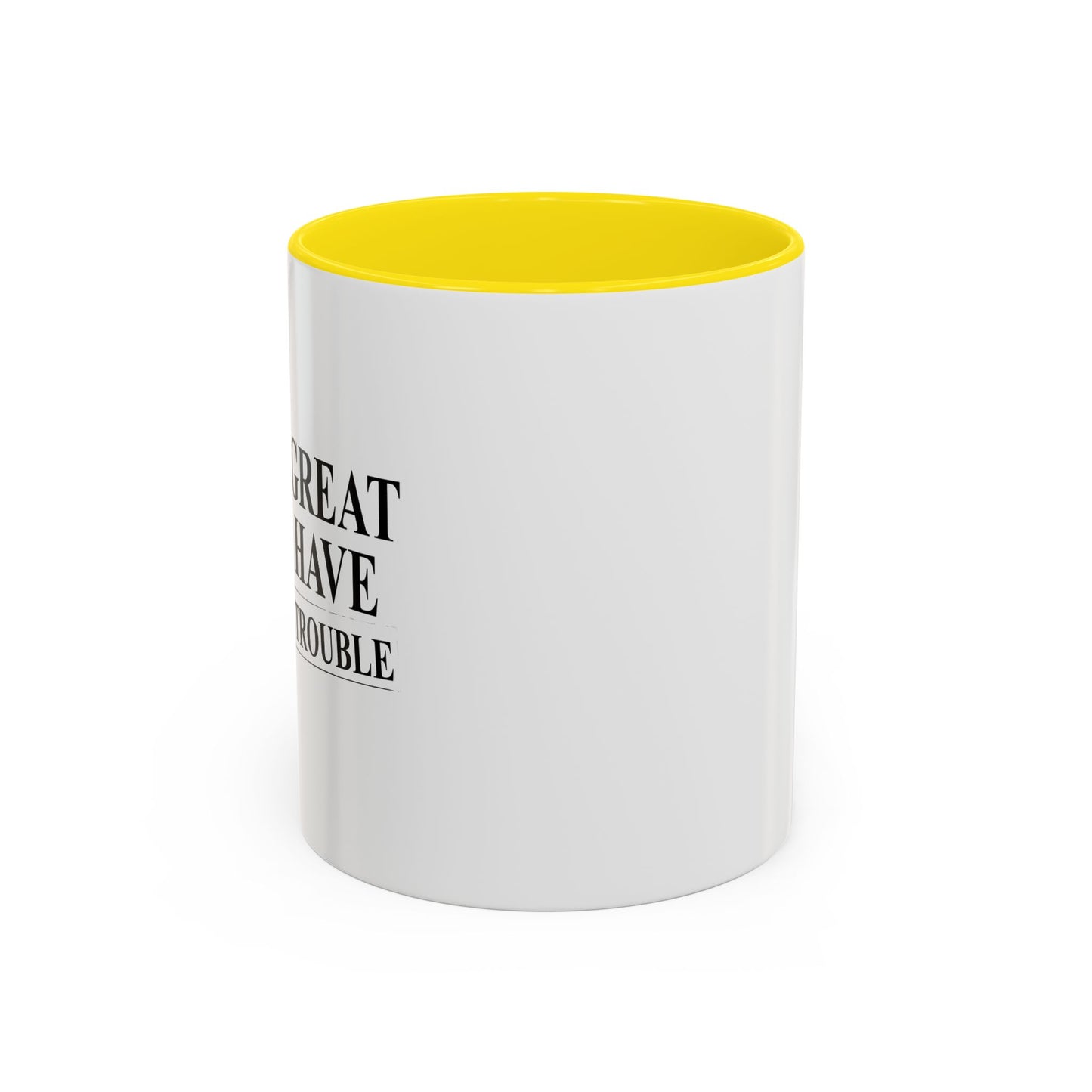 EVERY GREAT IDEA I HAVE GETS ME IN TROUBLE Accent BiColor Funny Sarcastic Mug