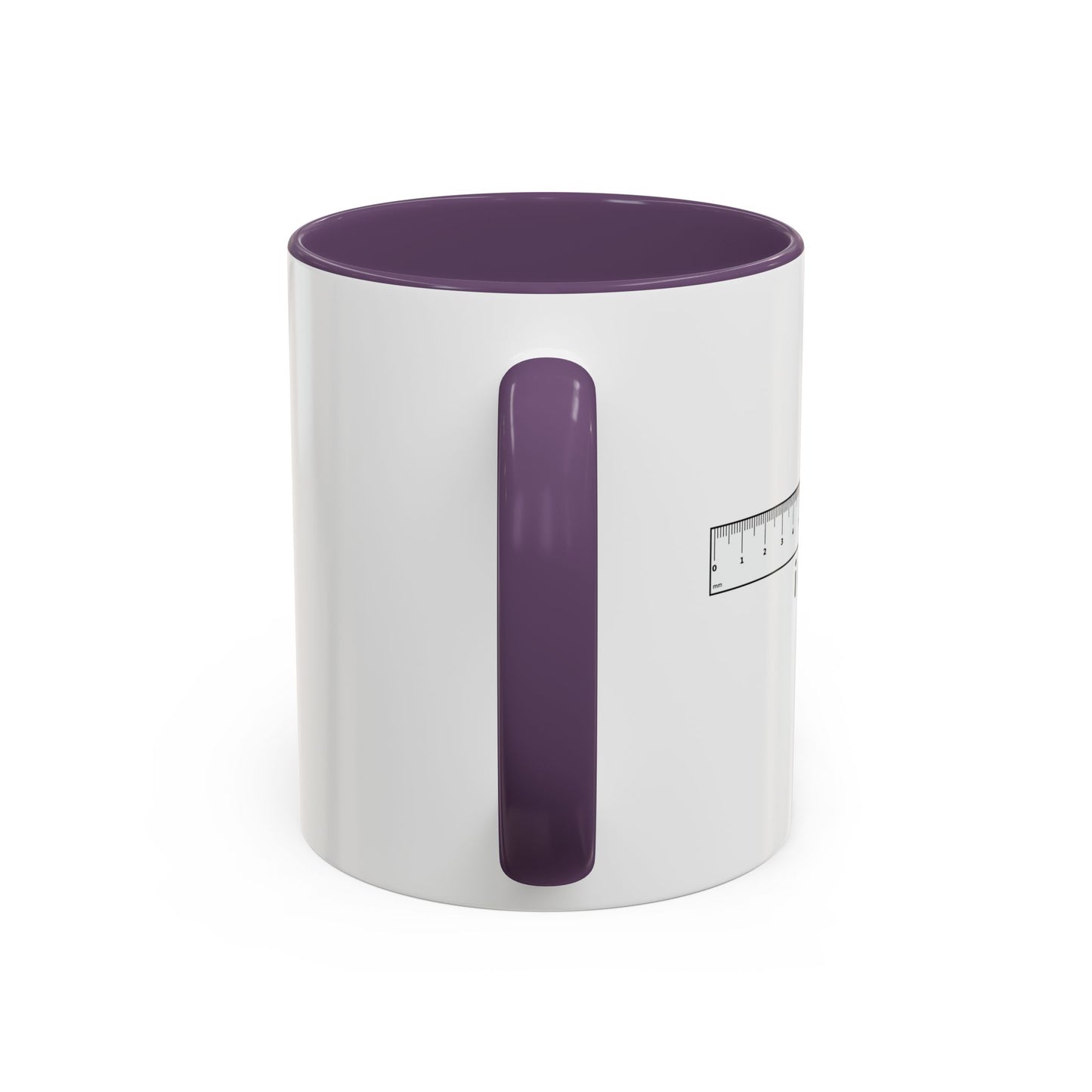 I RULE Accent BiColor Funny Sarcastic Mug