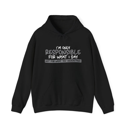 I'M ONLY RESPONSIBLE FOR WHAT I SAY - Premium Unisex Funny Sarcastic Black Hoodie Sweatshirt