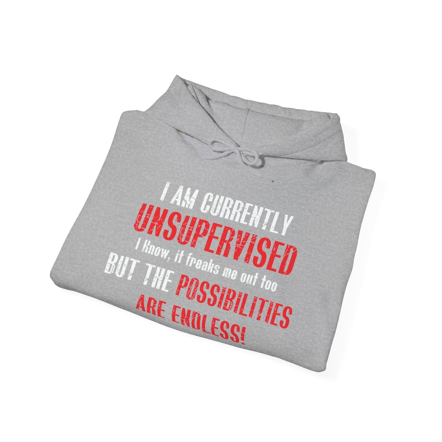 THE POSSIBILITIES ENDLESS - Premium Unisex Funny Sarcastic Black Hoodie Sweatshirt