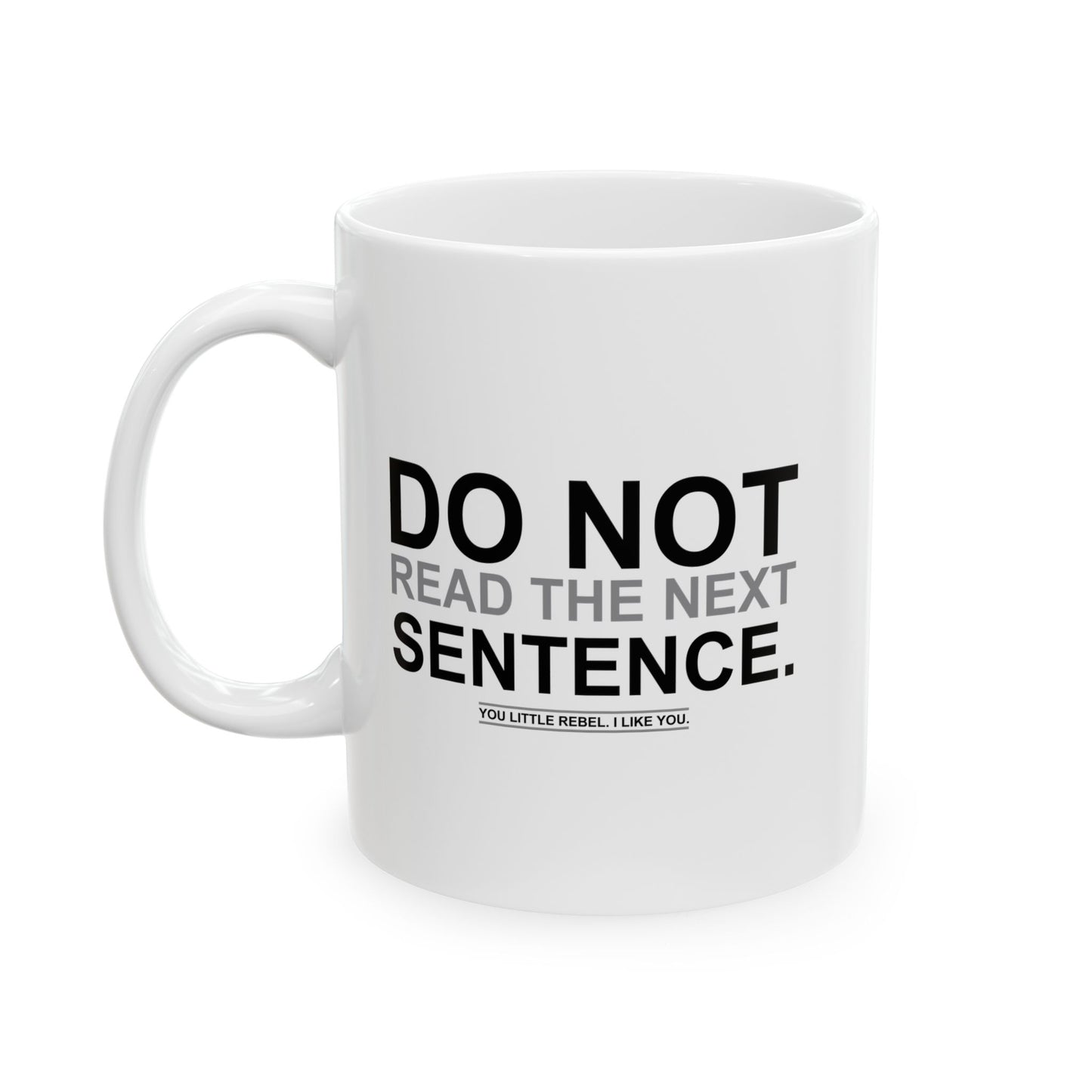 DO NOT READ THE NEXT SENTENCE. FUNNY SARCASTIC MUG