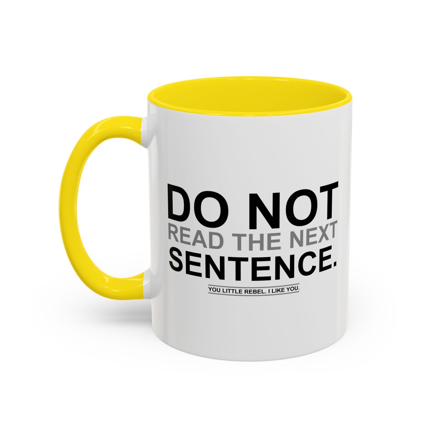 DO NOT READ THE NEXT SENTENCE. Accent BiColor Funny Sarcastic Mug