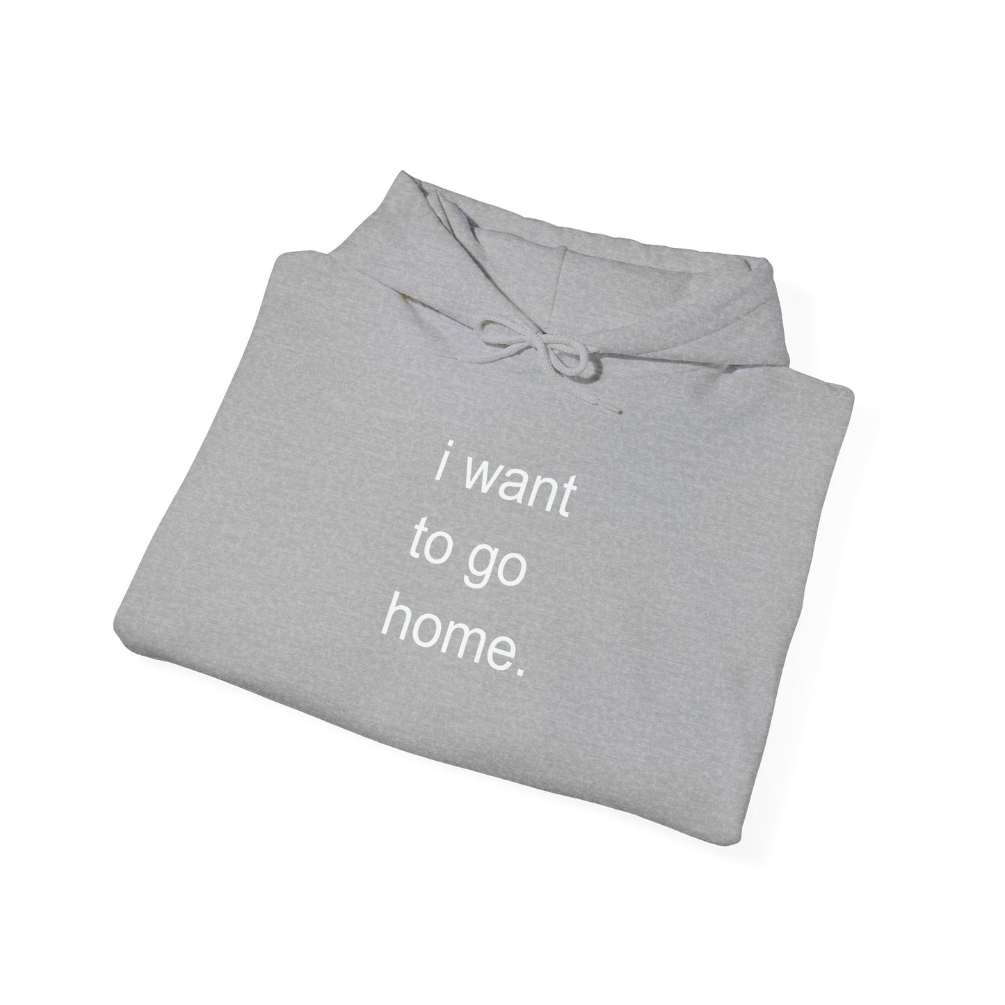 I WANT TO GO HOME - Premium Unisex Funny Sarcastic Black Hoodie Sweatshirt