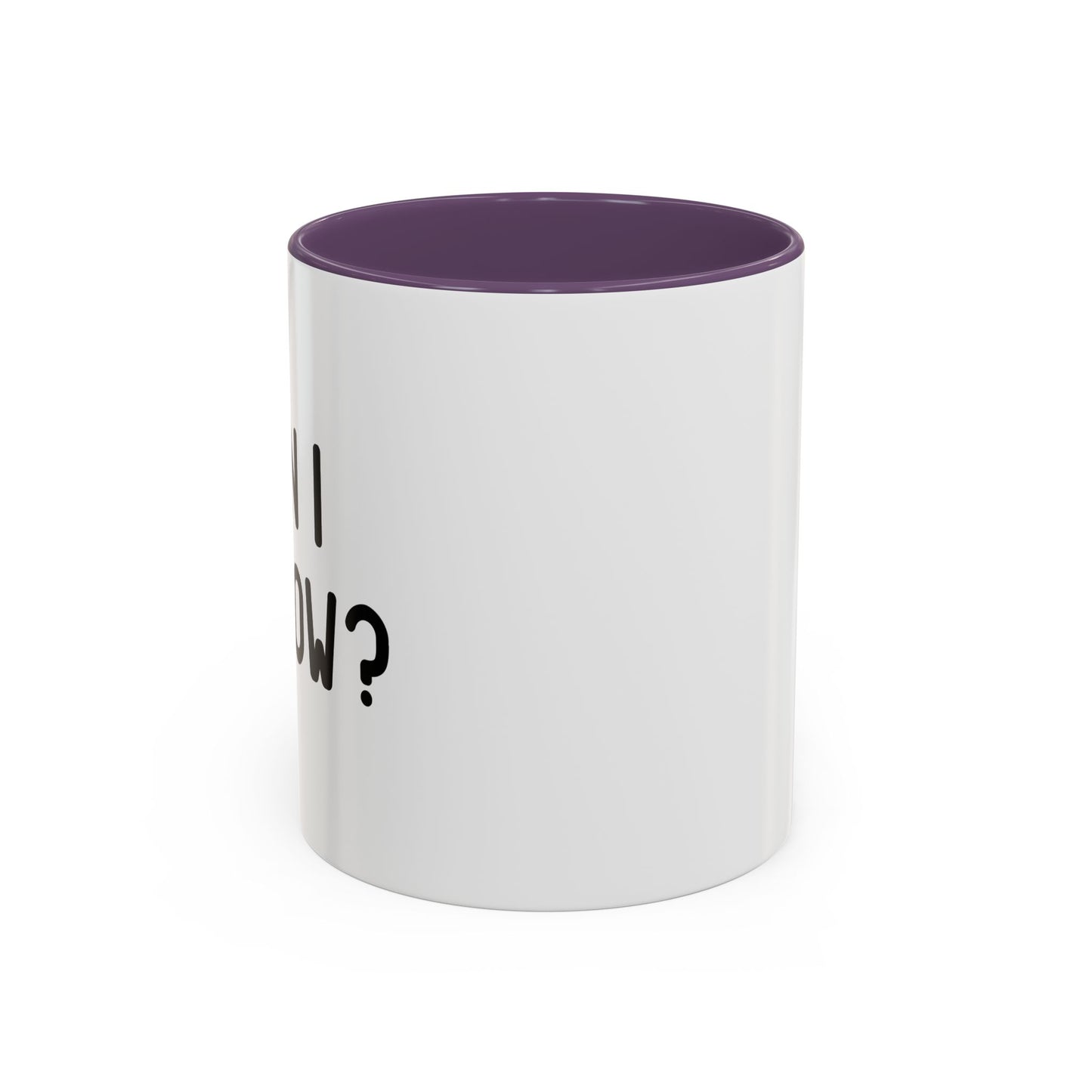 CAN I GO NOW? Accent BiColor Funny Sarcastic Mug