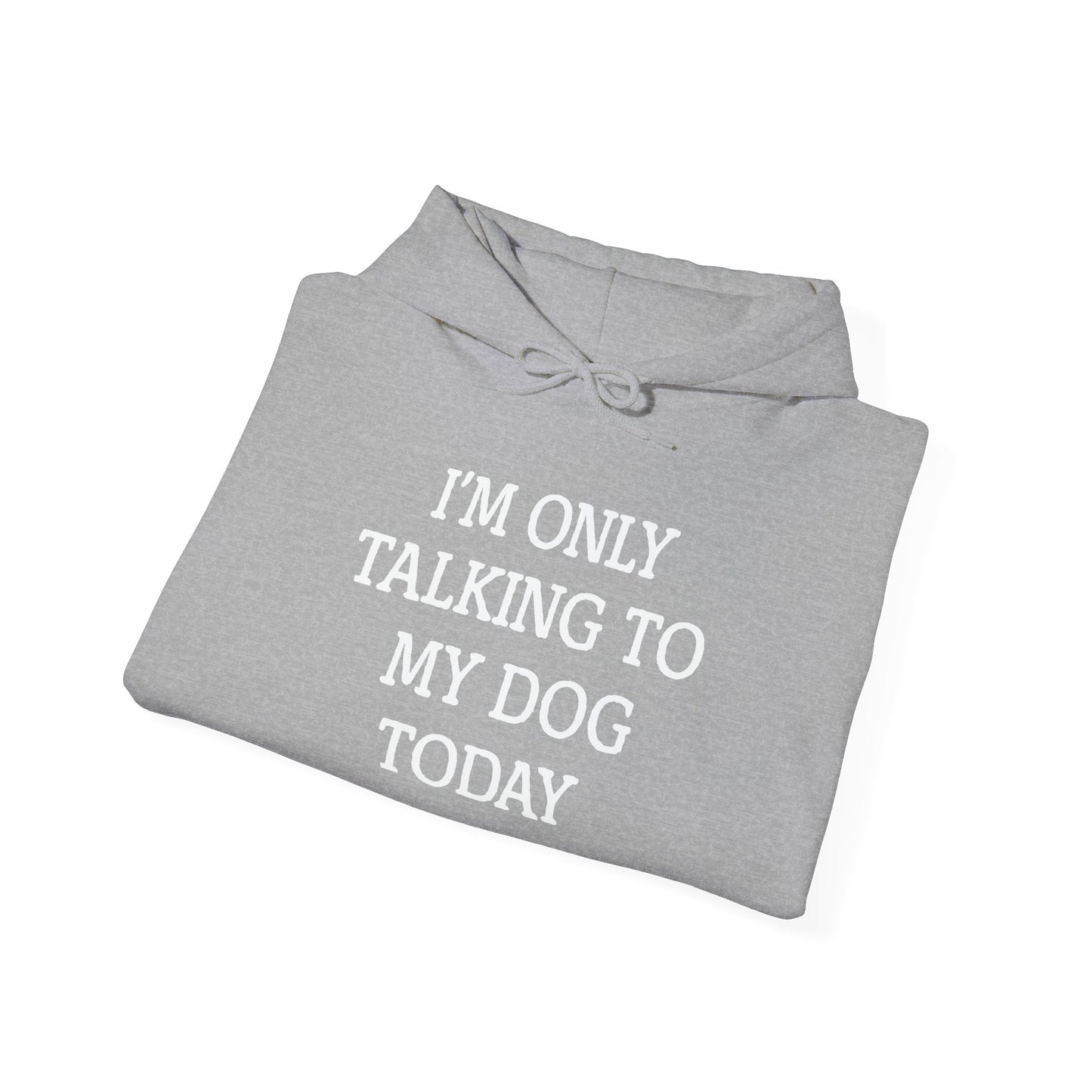 I'M ONLY TALKING TO MY DOG TODAY. - Premium Unisex Funny Sarcastic Black Hoodie Sweatshirt