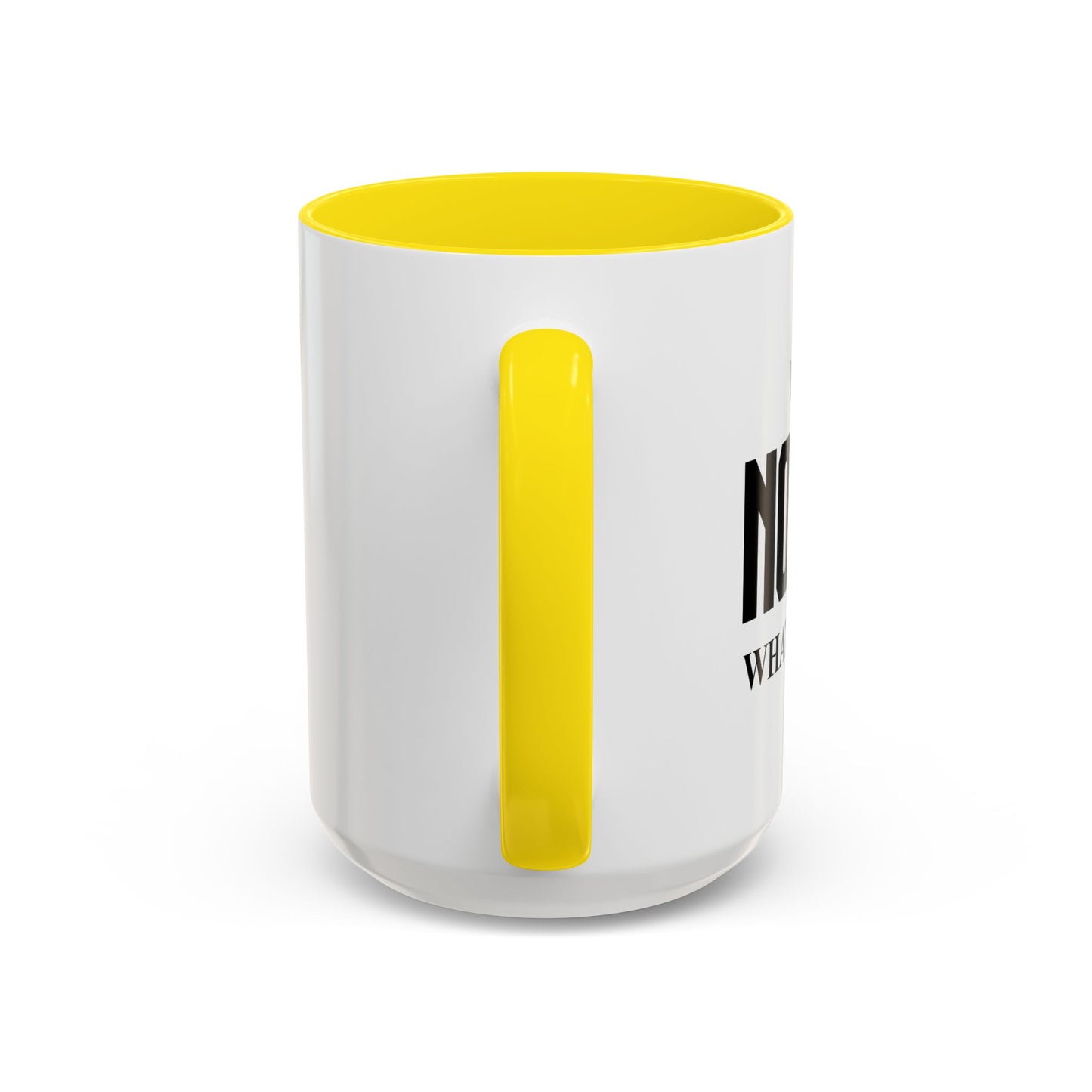 I HAVE NO IDEA WHAT IM DOING Accent BiColor Funny Sarcastic Mug