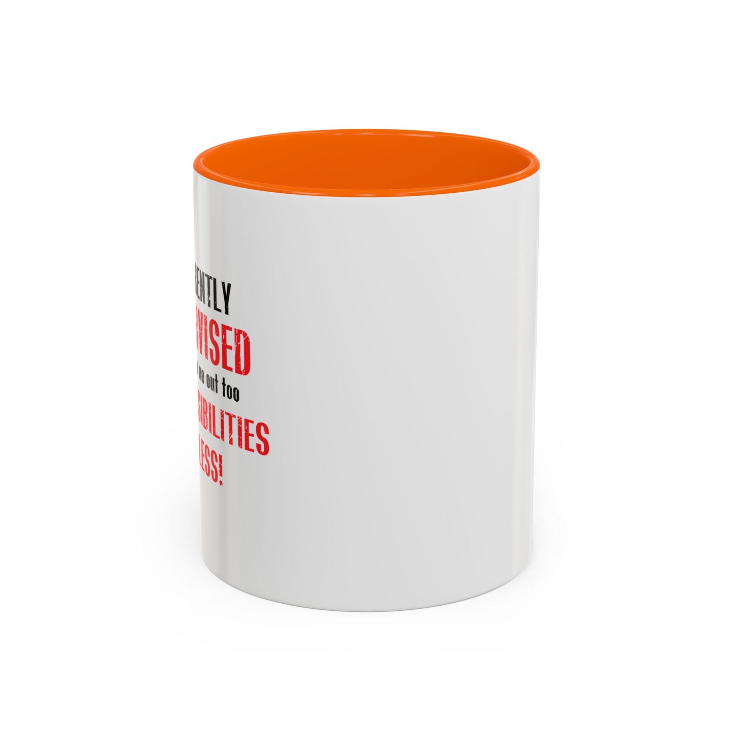 THE POSSIBILITIES ENDLESS Accent BiColor Funny Sarcastic Mug