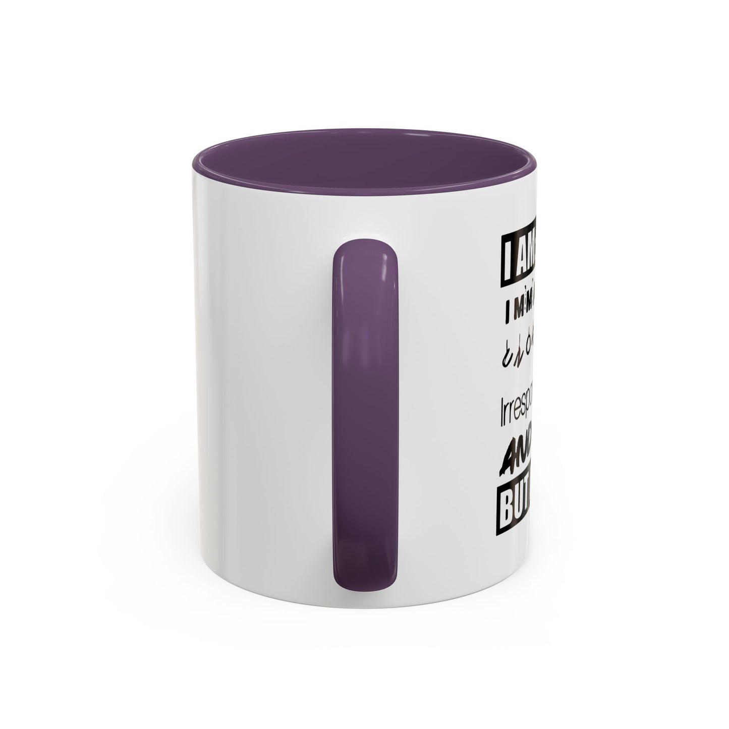 BUY I'M FUN Accent BiColor Funny Sarcastic Mug