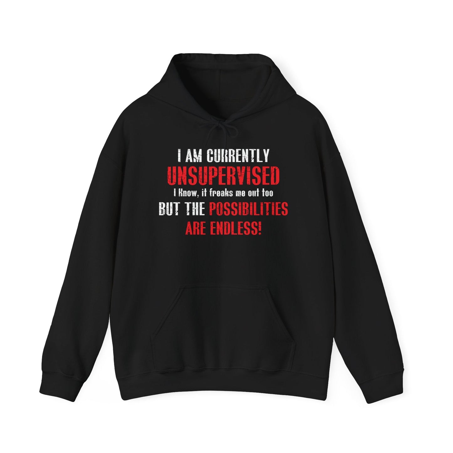 THE POSSIBILITIES ENDLESS - Premium Unisex Funny Sarcastic Black Hoodie Sweatshirt