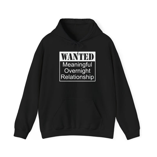 WANTED - Premium Unisex Funny Sarcastic Black Hoodie Sweatshirt