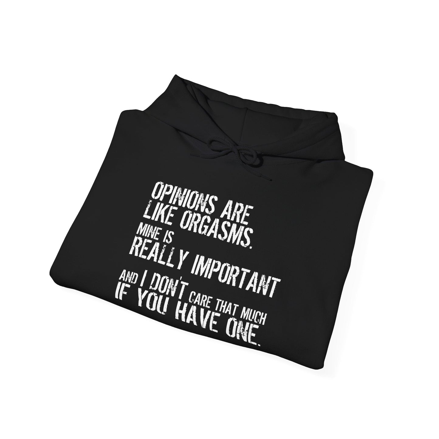 OPINION ARE LIKE ORGASMS - Premium Unisex Funny Sarcastic Black Hoodie Sweatshirt