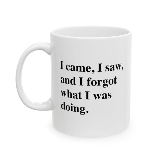 I CAME, I SAW, FUNNY SARCASTIC White Mug